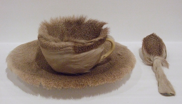 Object by Meret Oppenheim in the Museum of Modern Art, March 2010