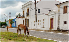 Recife : una inquadratura di Igarassu - Pernanbuco