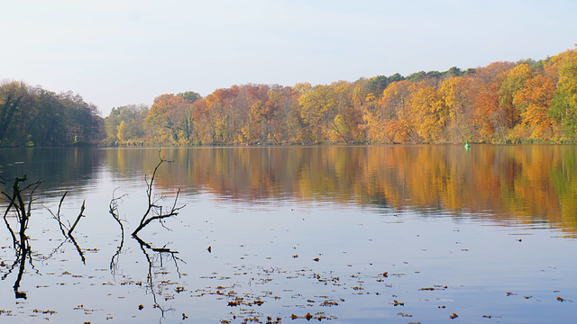 Goldener Herbst 1