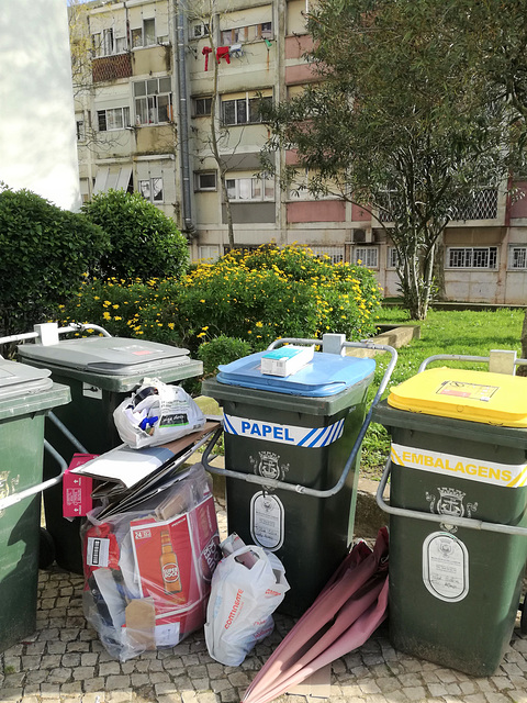 The garbage corner is surrounded by Spring