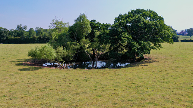 Water Hole