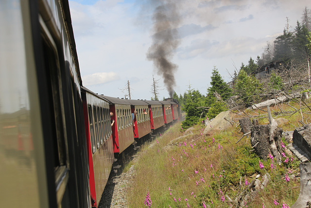 From Wernigerode to the Brocken by steam train, Germany