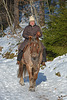 Mit dem Pferd durch den Winterwald