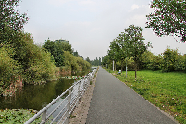 Der Hibernia-Park auf dem Gelände des ehem. Stickstoffwerkes (Herne-Holsterhausen) / 26.08.2017