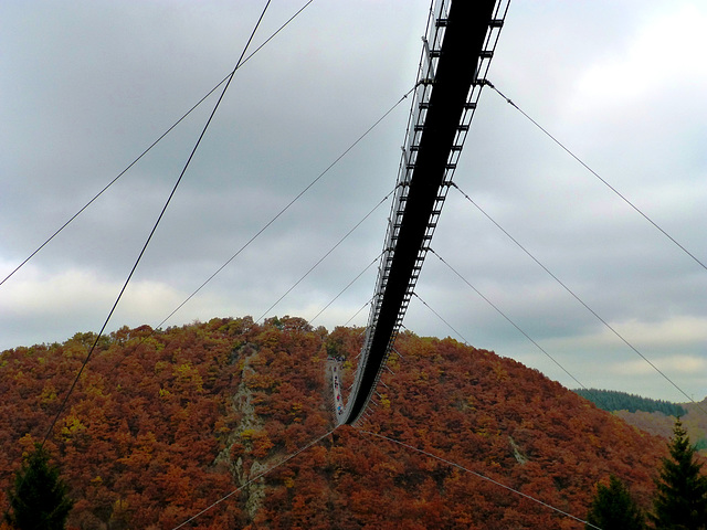 DE - Mörsdorf - Geierlay bridge