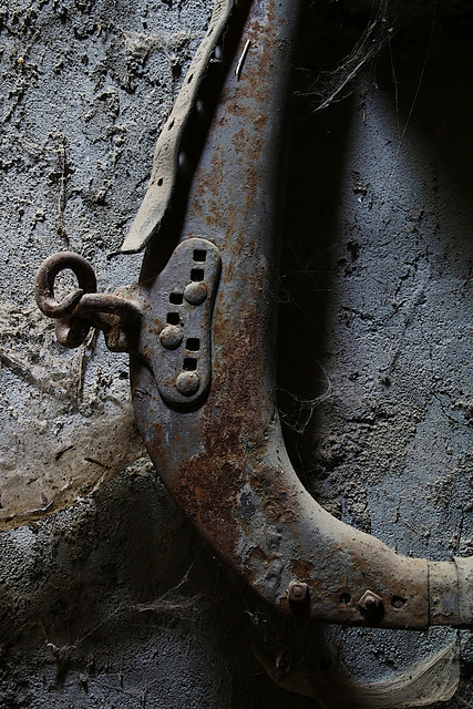 Collier en métal pour chevaux