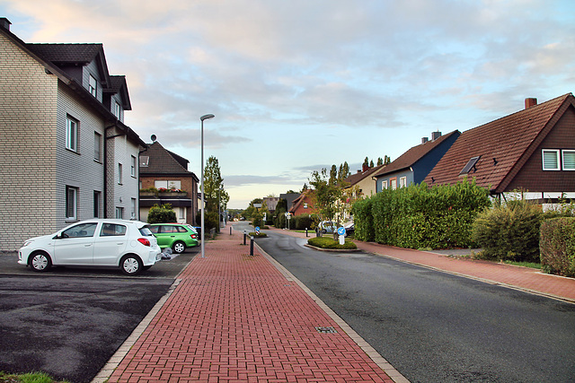 Obere Erlentiefenstraße (Bergkamen-Overberge) / 17.09.2022