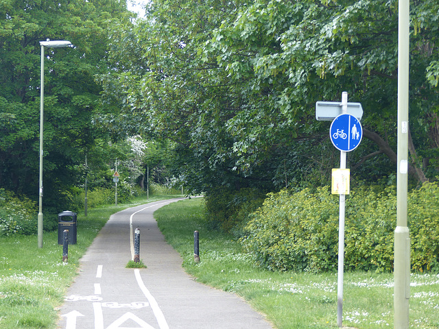 Stokes Bay Line (2) - 25 May 2015