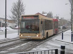 DSCN3752  Essex County Buses V119 LVH in Bury St. Edmunds - 6 Jan 2010