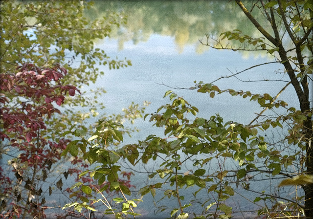 Blick durch die Zweige auf das Wasser