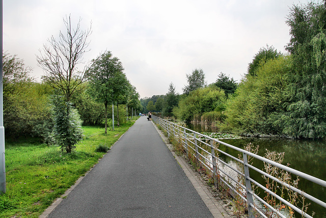 Weg im Hibernia-Park (Herne-Holsterhausen) / 26.08.2017