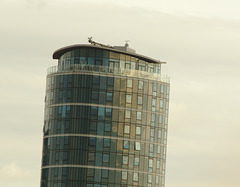 Skyscraper near Rochester EF7A9698