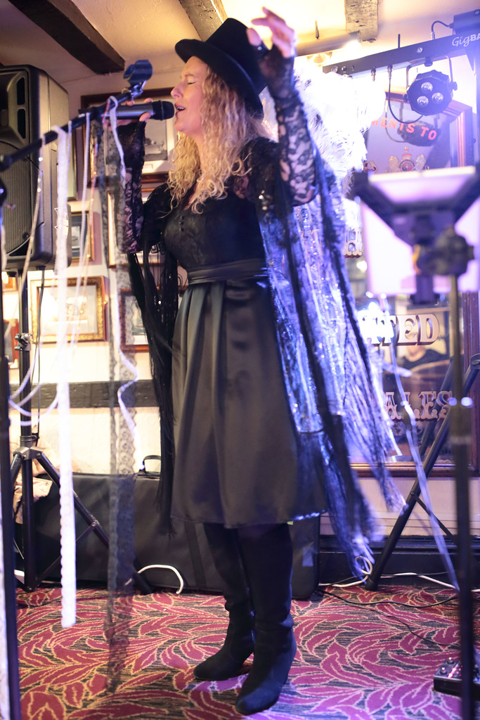 EOS 6D Peter Harriman 21 33 48 08783 StevieNicks unproc