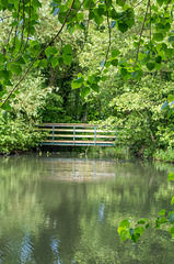 Burton Mere2