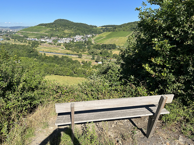 Bank auf der Ehlinger Ley