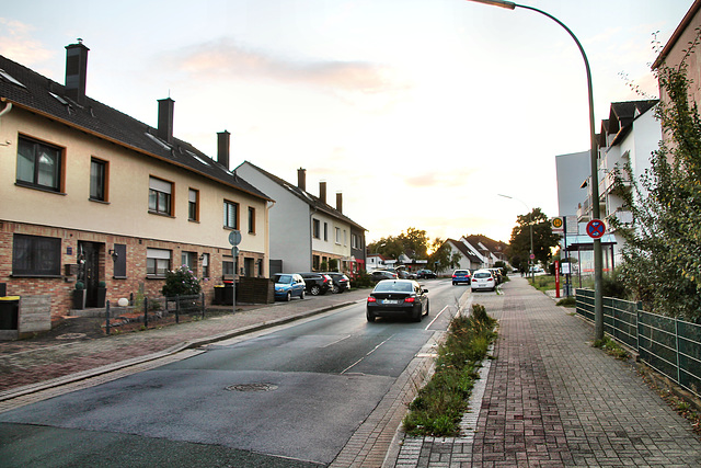 Hochstraße (Bergkamen-Overberge) / 17.09.2022