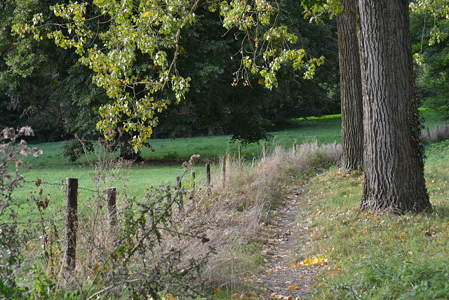 New Path new fence