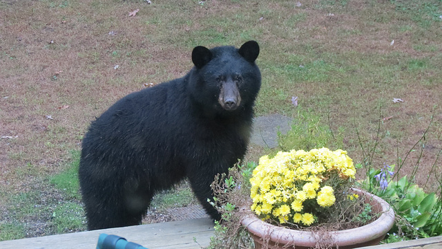 enjoying the flowers