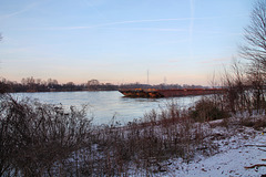 Der Rhein bei Hüttenheim (Duisburg) / 20.01.2024