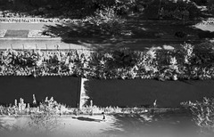 Long shadow Long shadow