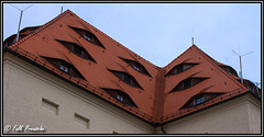 Schloßdach in Freiberg