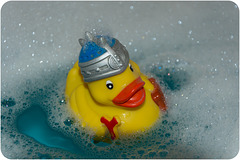 (247/365) I'm the bathtubs King