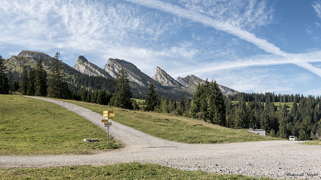 Blick zu den Churfirsten