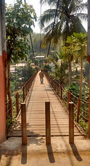 Suspension footbridge / Pont suspendu