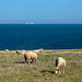 Cap Gris-Nez