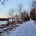 Verschneiter Weg am Rheinufer (Duisburg-Hüttenheim) / 20.01.2024