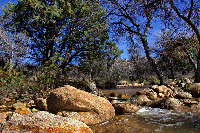 Slavin Gulch Creek