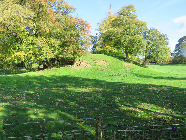 middleton stoney castle, oxon (6) c12 castle motte from the east