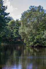 Burton Mere6