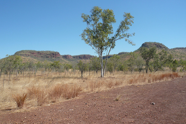 Gregory National Park