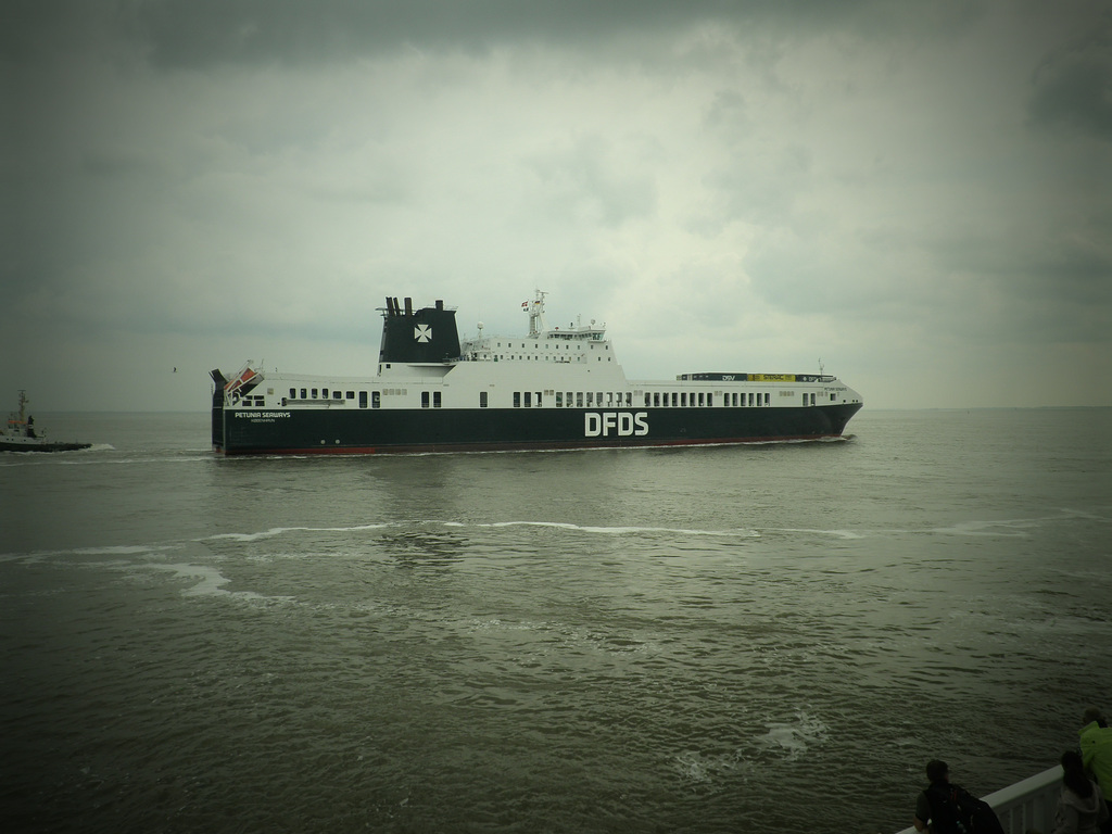 Petunia Seaways  Teil 2