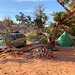 Camp at Lockhart Basin