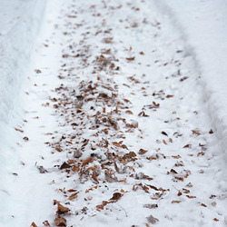 Des feuilles de route
