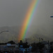 Burbank rainbow (#0455)