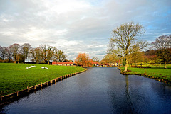 The Millpond Horningsham