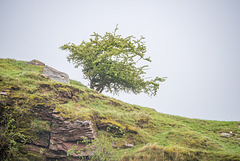 Burton, near the hill fort