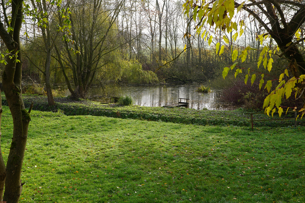 Fischteiche in Elbingerode III