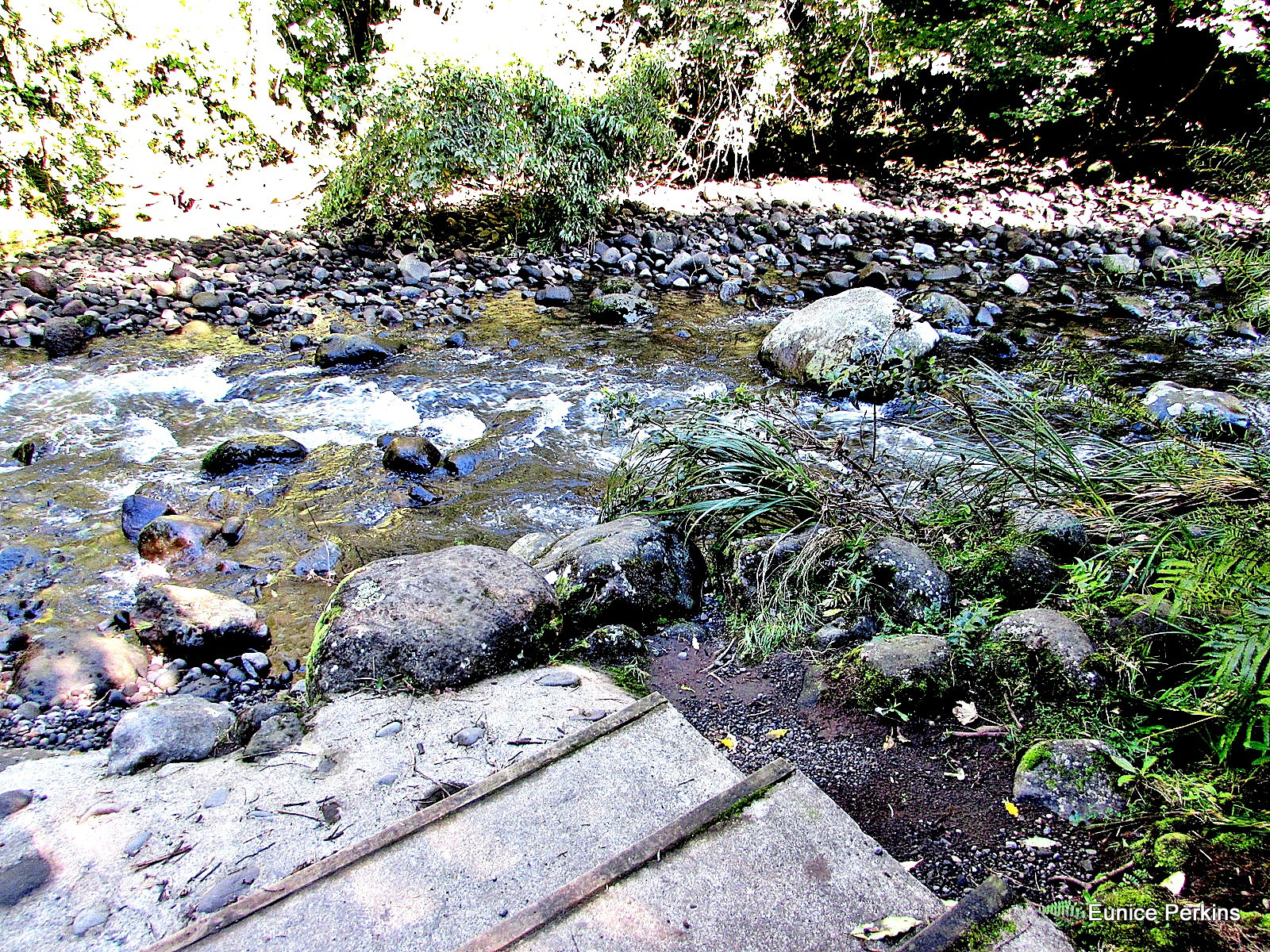 Patea River.