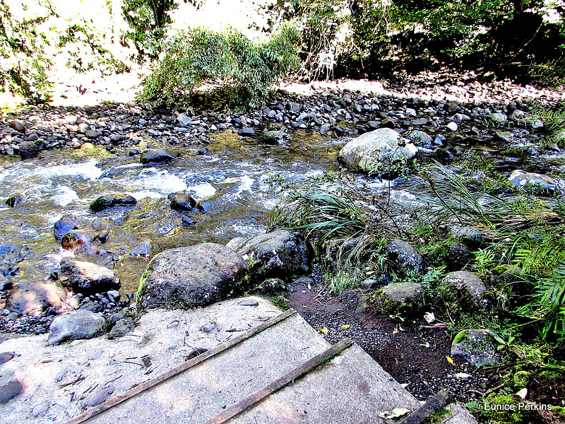 Patea River.