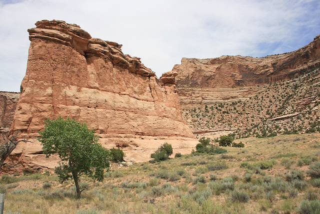 Buckhorn Wash