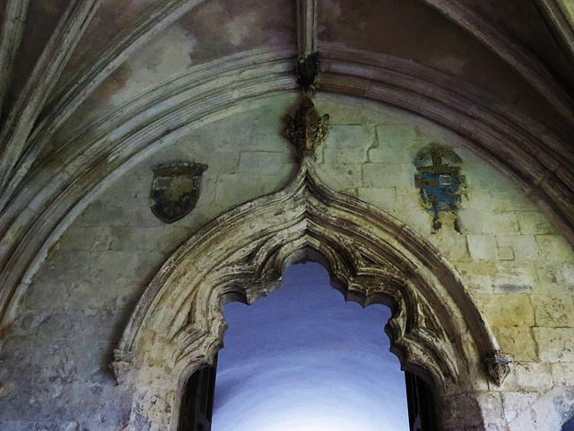 norwich cathedral cloister