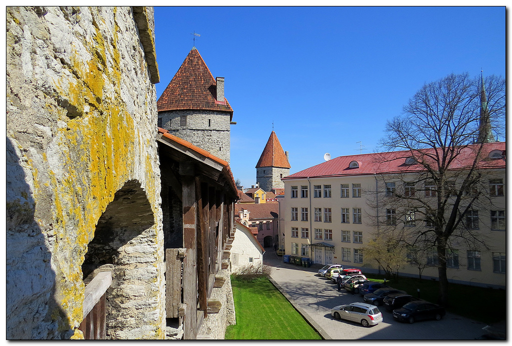 Stadtmauer