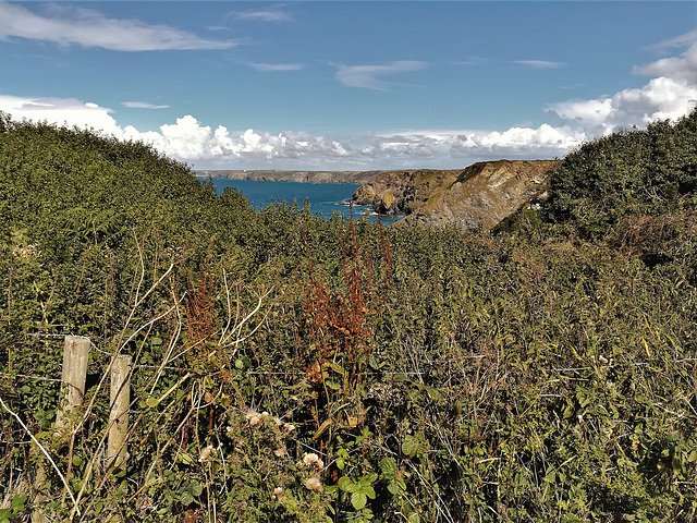 Above Fishing Cove, Cornwall. 3 HFFs today - I'm in a generous mood!