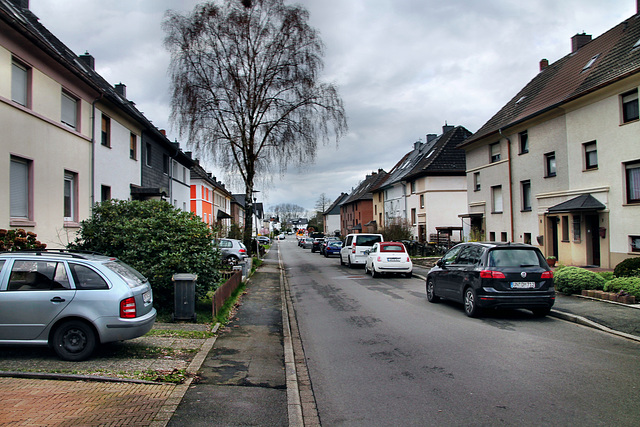 Schleppweg (Kamen-Südkamen) / 16.03.2024