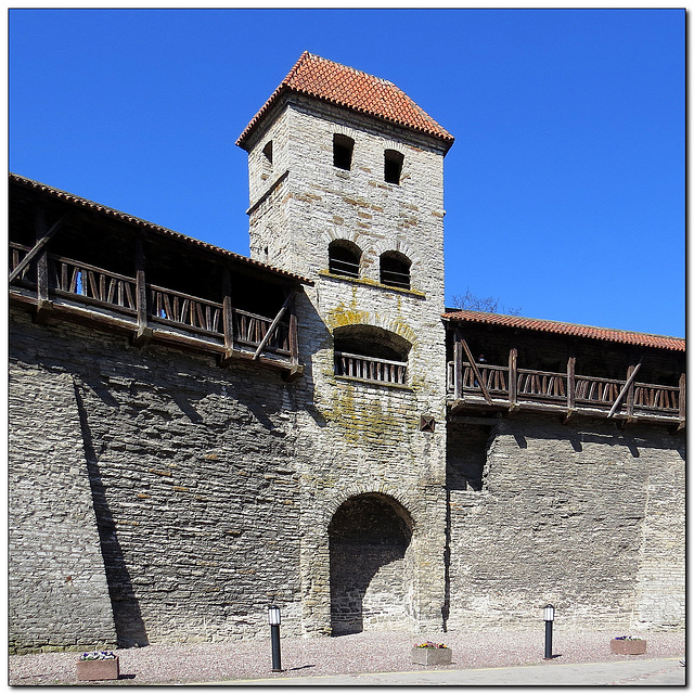 Stadtmauer | Turm