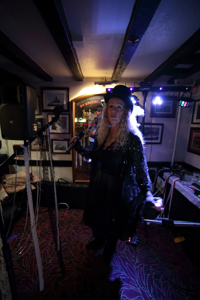 EOS 6D Peter Harriman 21 30 12 08777 StevieNicks unproc